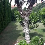 Maya Apartment Banjole